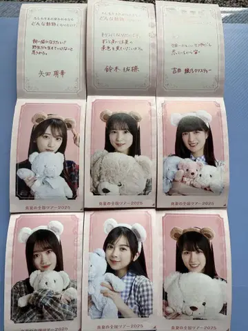 노기메쿠리 NOGI메쿠리 카드 6매