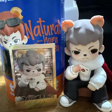 TNT space Boy rayan 피규어 시크릿