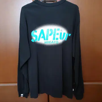 사풀 SAPEur
