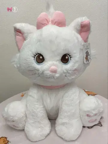 미사용 새상품 코스트코캣 봉제 인형 담요 마리