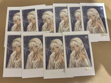 fgo 페스 포트레이트 포트레이트 포트레 알테라