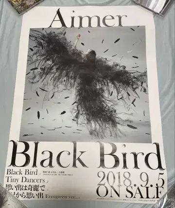 Aimer Black bird