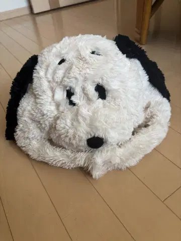 USJ 유니버셜 스누피 Snoopy 모자