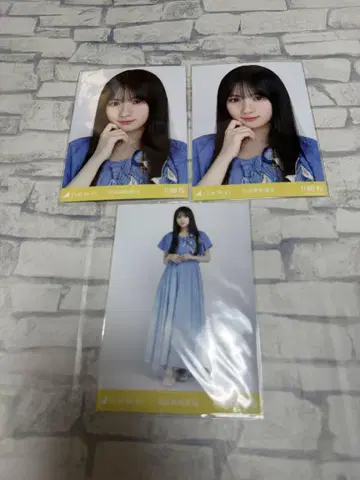 노기자카46 브로마이드 카와사키 벚꽃 교감신경 우위 요리요리히키