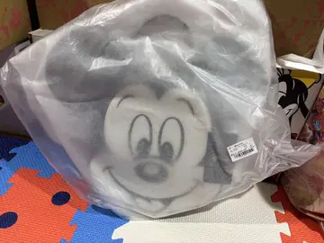 아림 미키백