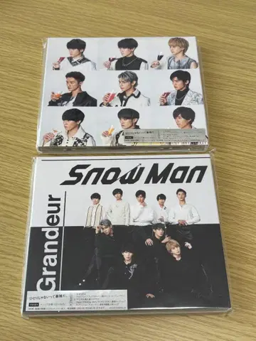 SnowMan Grandeur 2 형태