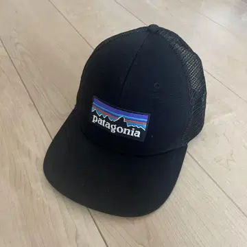 Patagonia 캡
