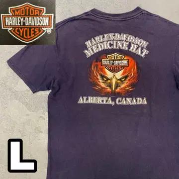 6WD305 HARLEY DAVIDSON 양면 프린트 티셔츠