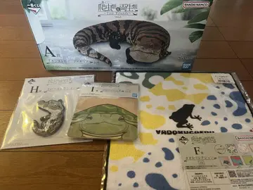 파충류 제일복권