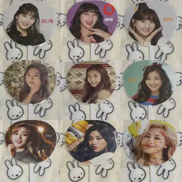 twice 지효 부채