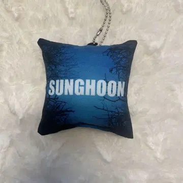 SUNGHOON WALK THE LINE 쿠션 키링 성훈