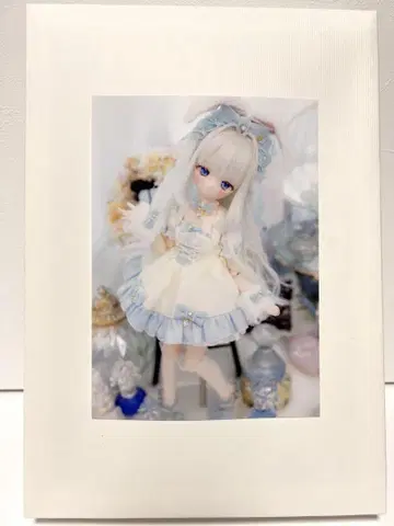 Ronshuka Couture 님 토끼 마도사 세트