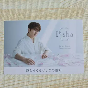 [미사용 새상품] Nissy P-sha 파샤 엽서
