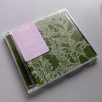 Ricardo Villalobos Alcachofa