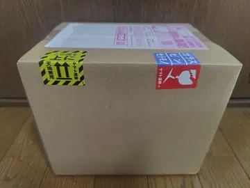 S.H.Figuarts 드래곤볼 손오공 & 용 V점프