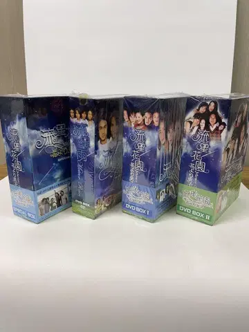 대만판 유성화원 유성우 꽃보다 남자 DVD
