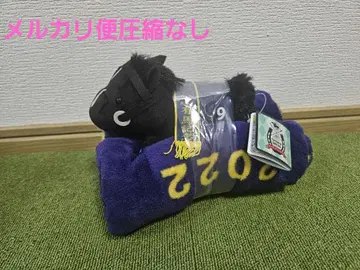[메루카리 택배 압축 없음] 이Equinox 봉제 인형 담요