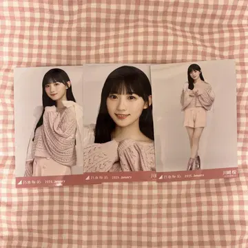 카와사키 벚꽃 소프트 핑크 컴프 2025.1