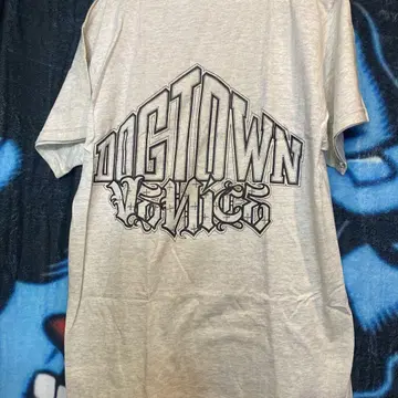 DIGTOWN VENCE 그레이 티셔츠 M