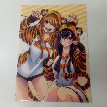 citrus 시트러스 토라노아나 페어 혜택 B5 클리어 파일