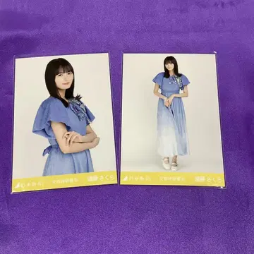 엔도 사쿠라 교감신경 우위 브로마이드 츄 히키