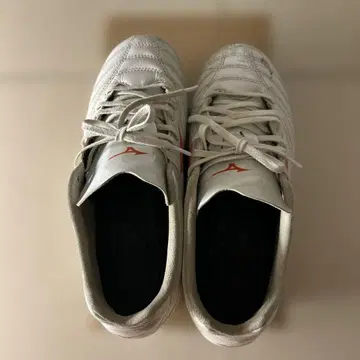 Mizuno 모나르시다 Neo III Wide Pro 24.0cm
