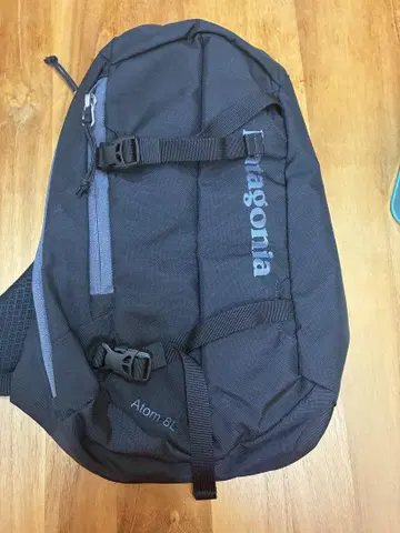 Patagonia Atom 8L 바디백
