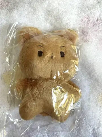 THE BOYZ 봉제 인형 현재