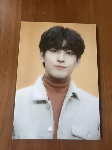 K-POP seventeen 원우 패널