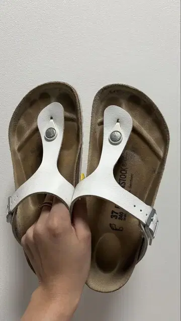 BIRKENSTOCK 기제 화이트 37