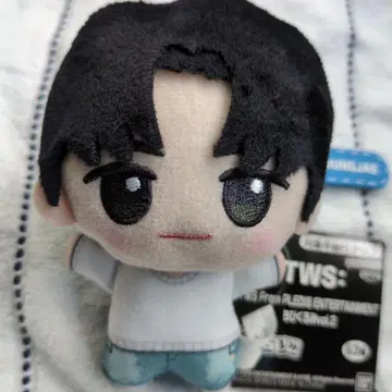 tws 쪼꼬미 인형 영재