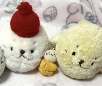 시로탄 봉제 인형 세트