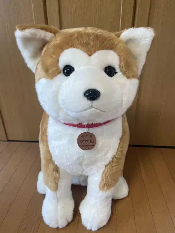 아키타견 마사루 봉제 인형