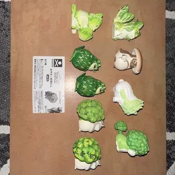 채소 요정 씨 세트