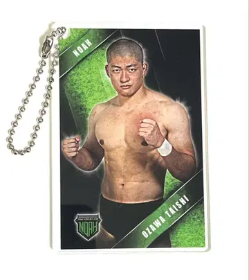 [ 가격 인하 가능 ] OZAWA 오자와 다이시 아크릴 키링