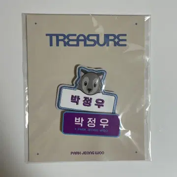 TREASURE 네임택 박정우
