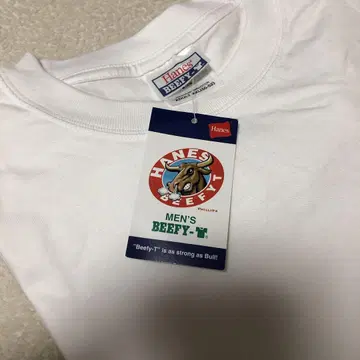 [데드스탁] Hanes BEEFY 헤인즈 비피 2장 택 반팔