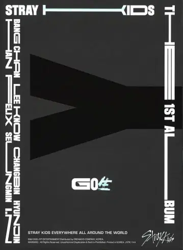 StrayKids 한정판 GO 블랙