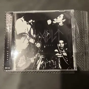 ASSAULT early years