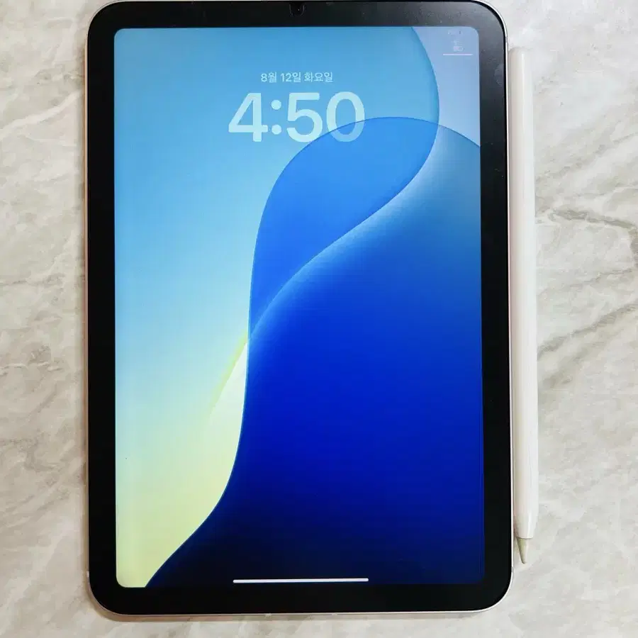 APPLE | 애플 Grade S iPad mini 6 Cellular + Apple Pencil 2nd