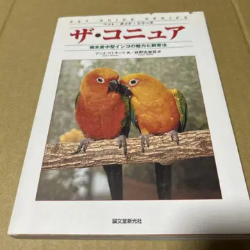 더 코뉴어: 남미산 중형 잉꼬의 매력과 사육법