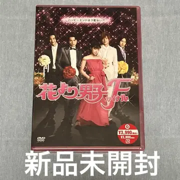 꽃보다 남자 파이널 스탠다드 에디션 미개봉 새상품 DVD 이노우에 마오