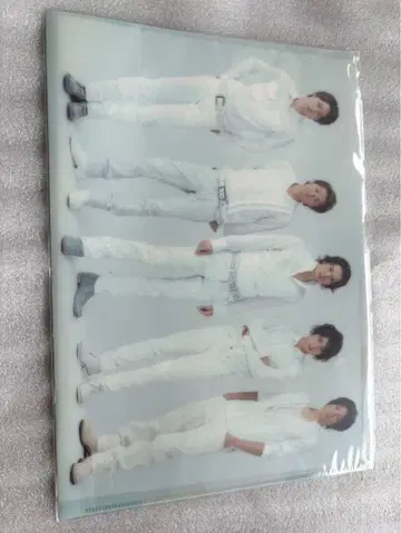 ARASHI 클리어 파일 화이트