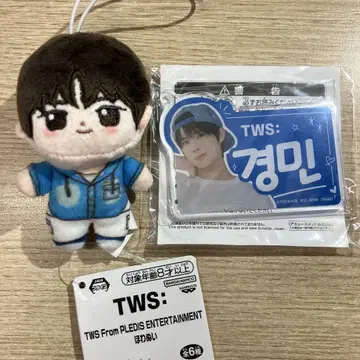 TWS 호와누이 아크릴 플레이트 키링 경민