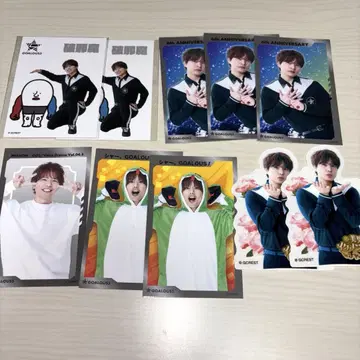 GO5 화이트 세트