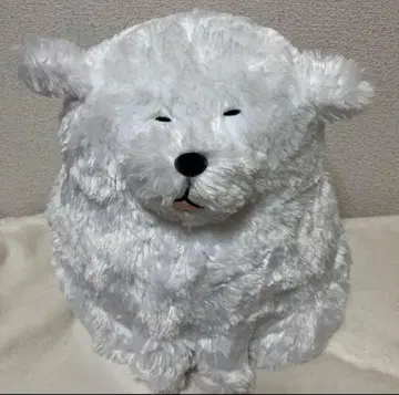 무찌무찌 그레이트 피레니즈 퍼니 페이스