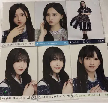 노기 컬렉션 묶음 판매