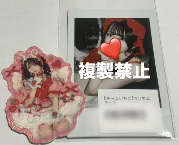 팀 딸기 랜덤 폴라로이드 스티커 세트 쿠리하라 마유
