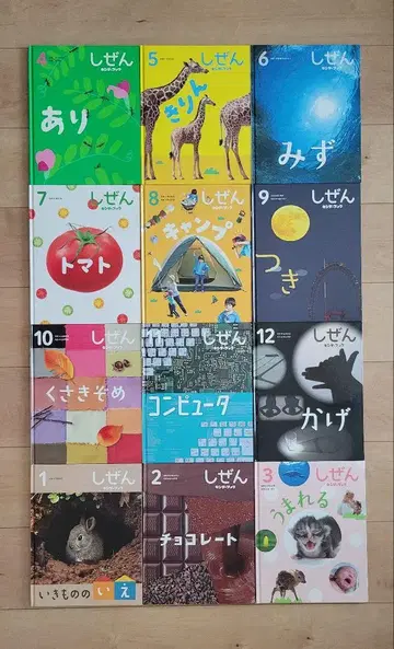 자연 시리즈 전12권 킨더북 프뢰벨관 유치원
