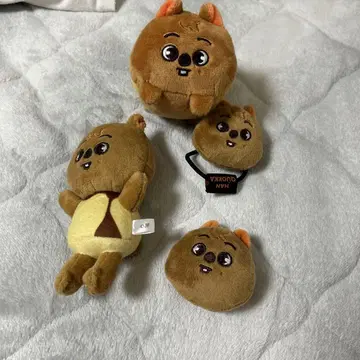 한쿼카 봉제 인형